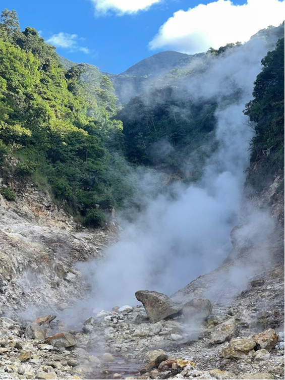 La imagen tiene un atributo ALT vacío; su nombre de archivo es image-1.png