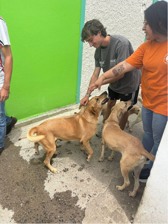 La imagen tiene un atributo ALT vacío; su nombre de archivo es image-4.png